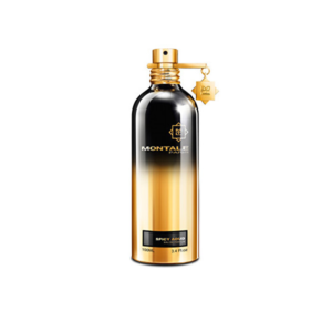 Montale Spicy Aoud - EDP 100 ml