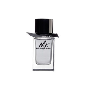 Burberry Mr. Burberry - EDT 30 ml